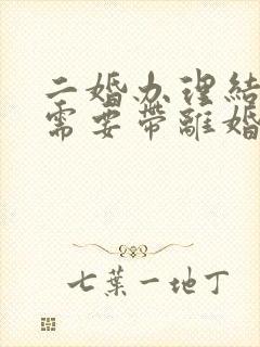 二婚办理结婚证需要带离婚证吗