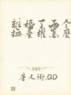 离婚了两个小孩抚养权怎么判