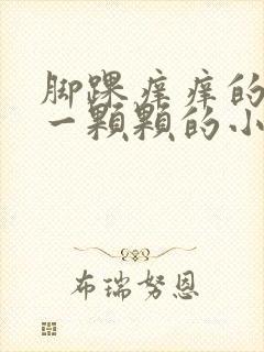 脚踝痒痒的抓出一颗颗的小疙瘩