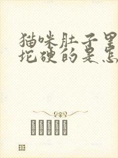 猫咪肚子里有一坨硬的是怎么回事封面