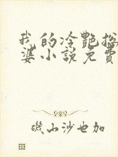 我的冷艳总裁老婆小说免费下载