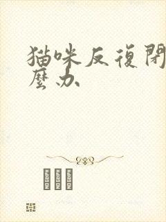 猫咪反复闭尿怎么办