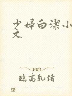 少妇白洁小说全文