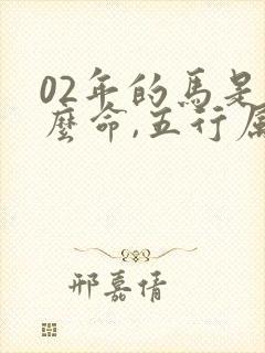 02年的马是什么命,五行属性