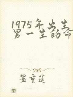 1975年出生男一生的命运