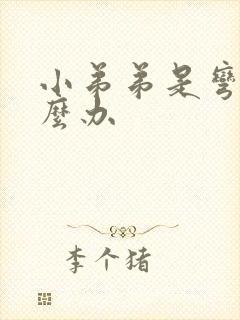 小弟弟是弯的怎么办封面