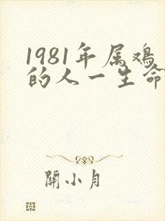 1981年属鸡的人一生命运如何