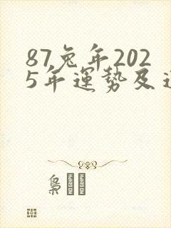 87兔年2025年运势及运程