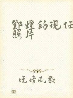 邓煌的现任丈夫照片