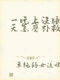 一晚上没睡第二天怎么补救