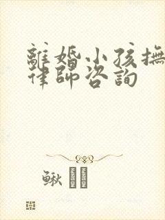 离婚小孩抚养权律师咨询