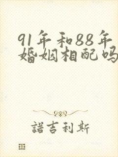 91年和88年婚姻相配吗