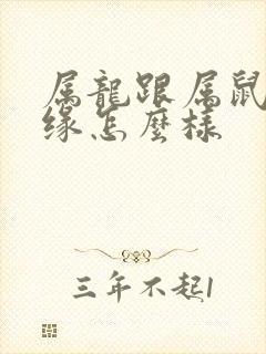 属龙跟属鼠的姻缘怎么样封面