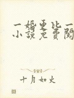 一婚更比一婚高小说免费阅读全文