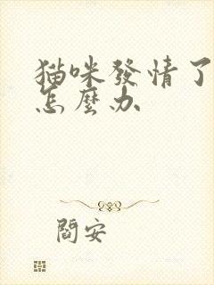 猫咪发情了乱尿怎么办