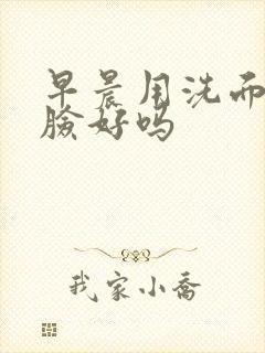 早晨用洗面奶洗脸好吗