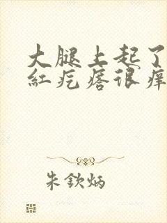 大腿上起了一片红疙瘩很痒