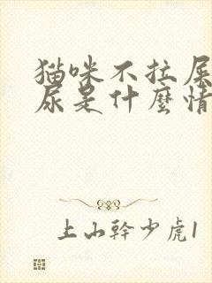 猫咪不拉屎不拉尿是什么情况封面