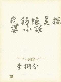 我的绝美总裁老婆 小说