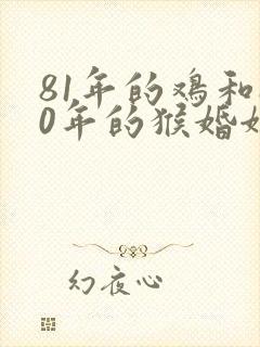 81年的鸡和80年的猴婚姻怎么样封面