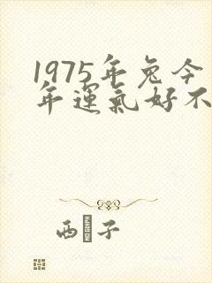 1975年兔今年运气好不好