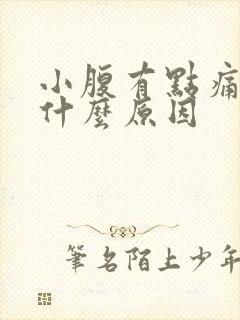 小腹有点痛便血什么原因