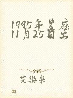1995年农历11月25日出生的人命运封面