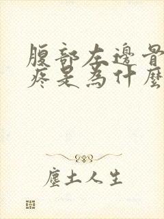 腹部左边骨头边疼是为什么封面