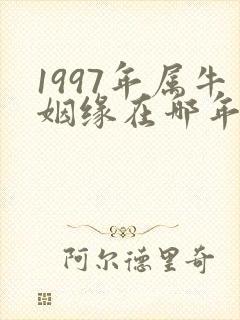 1997年属牛姻缘在哪年哪月