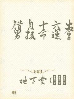 腊月十六出生的男孩命运会怎样