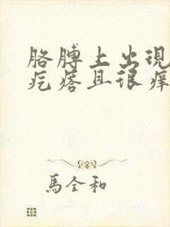 胳膊上出现红色疙瘩且很痒封面