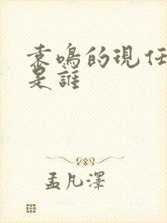 袁鸣的现任丈夫是谁