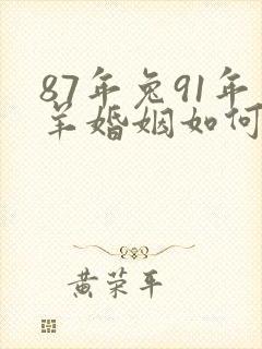 87年兔91年羊婚姻如何呢