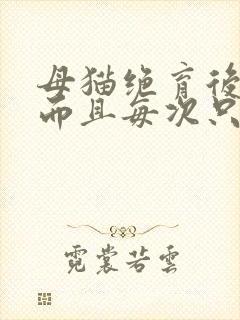 母猫绝育后尿频而且每次只尿一点封面