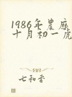 1986年农历十月初一虎是什么命