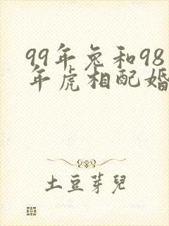 99年兔和98年虎相配婚姻如何封面