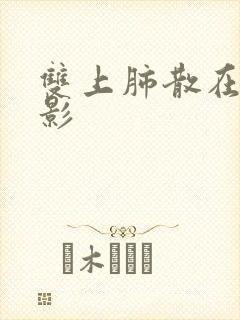 双上肺散在结节影