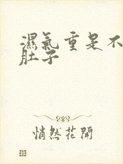 湿气重是不是大肚子