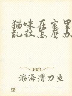 猫咪在家里乱尿乱拉怎么办