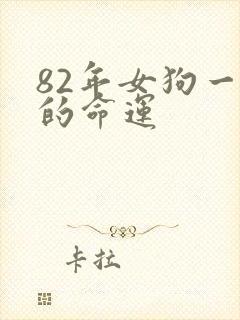 82年女狗一生的命运