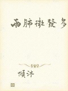 两肺微发多结节