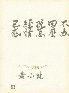 已经挽回不了的感情怎么办好封面