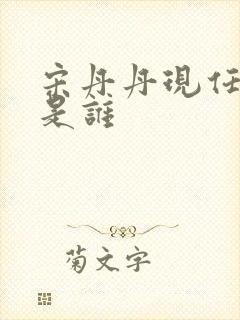 宋丹丹现任丈夫是谁