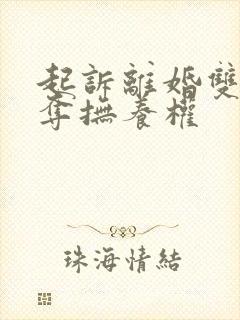 起诉离婚双方争夺抚养权