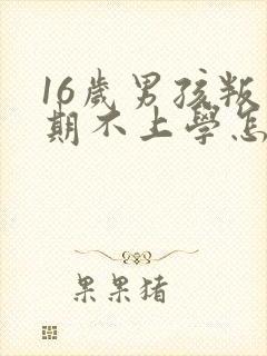 16岁男孩叛逆期不上学怎么办