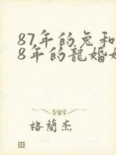 87年的兔和88年的龙婚姻状况