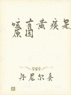 咳有黄痰是什么原因