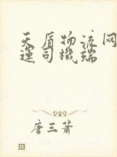 天盾物流网络货运司机端