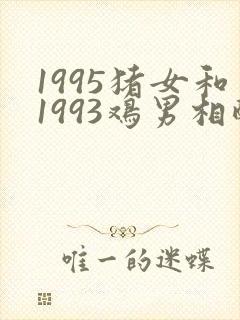 1995猪女和1993鸡男相配婚姻如何