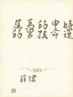 属马的申时出生的男孩命运怎么样